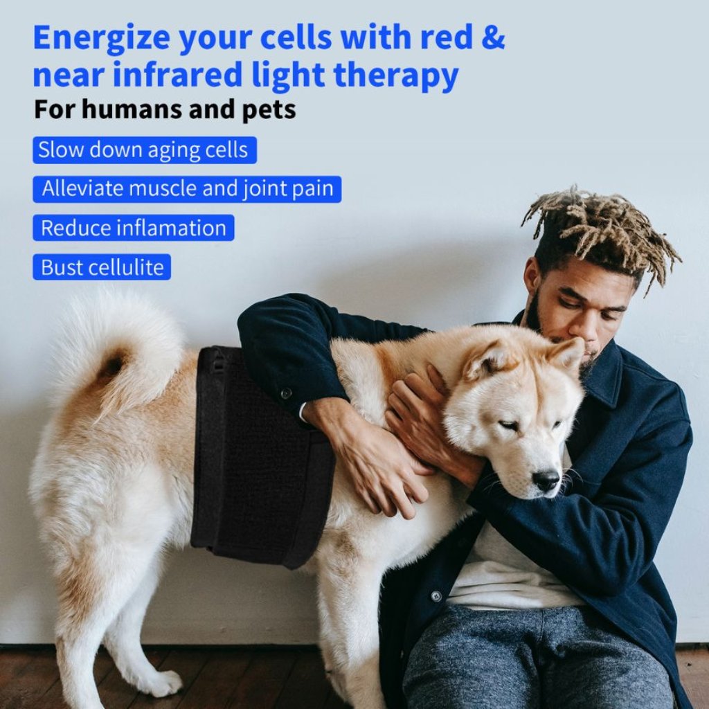 Man using red light therapy belt on a pet for muscle and joint pain relief